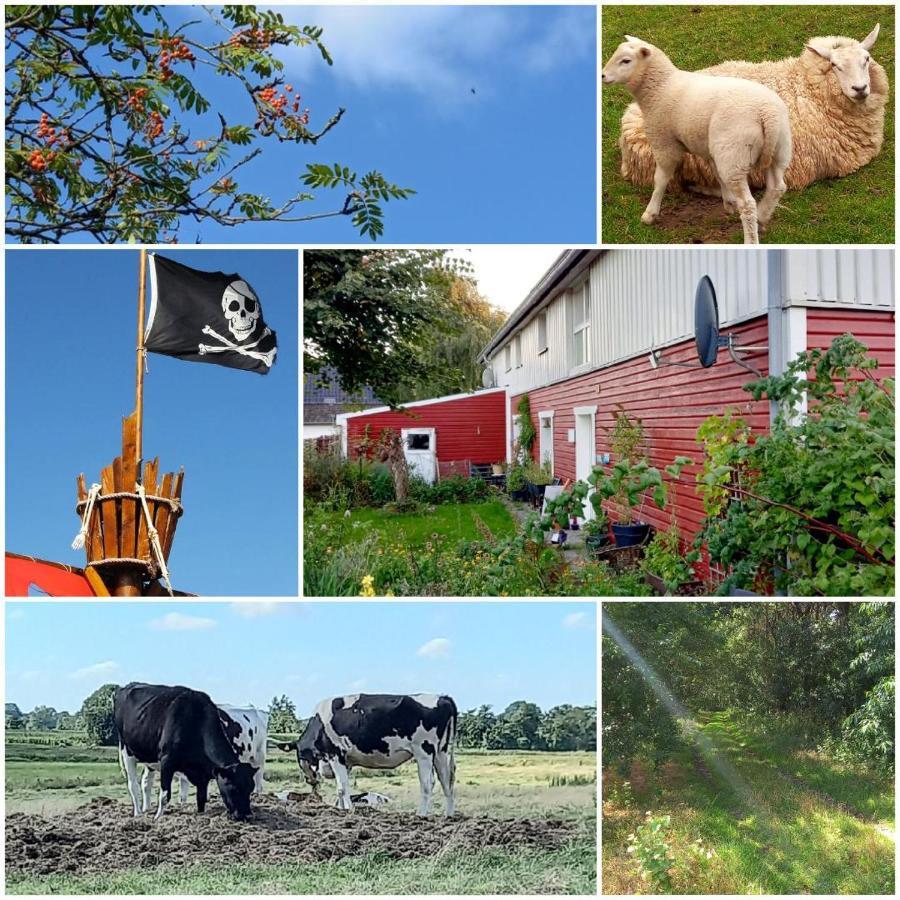 Piratennest Nord Bordelum Экстерьер фото